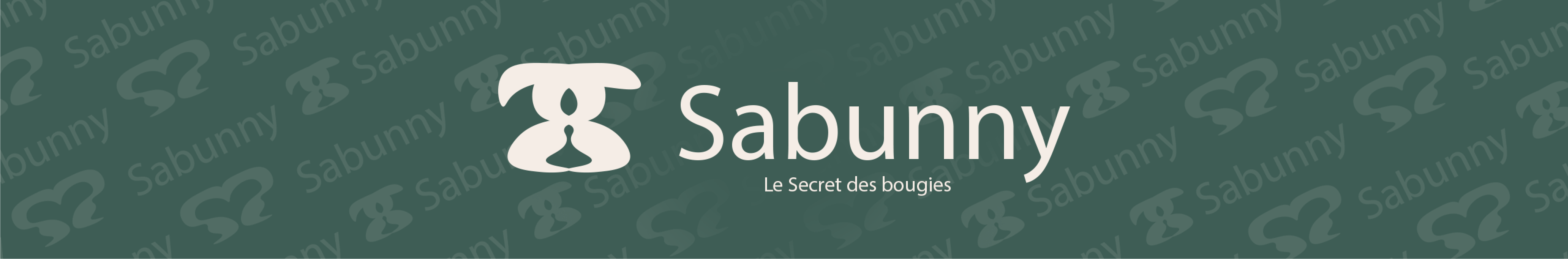 Bannière YouTube retenue