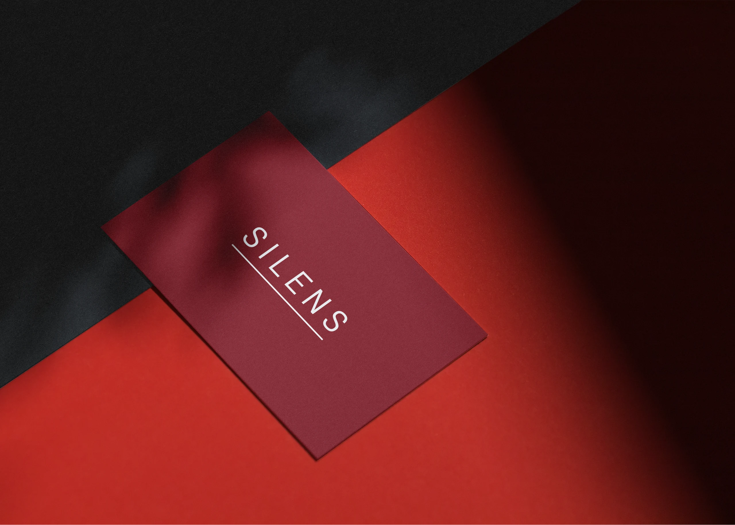 Direction artistique Silens 4