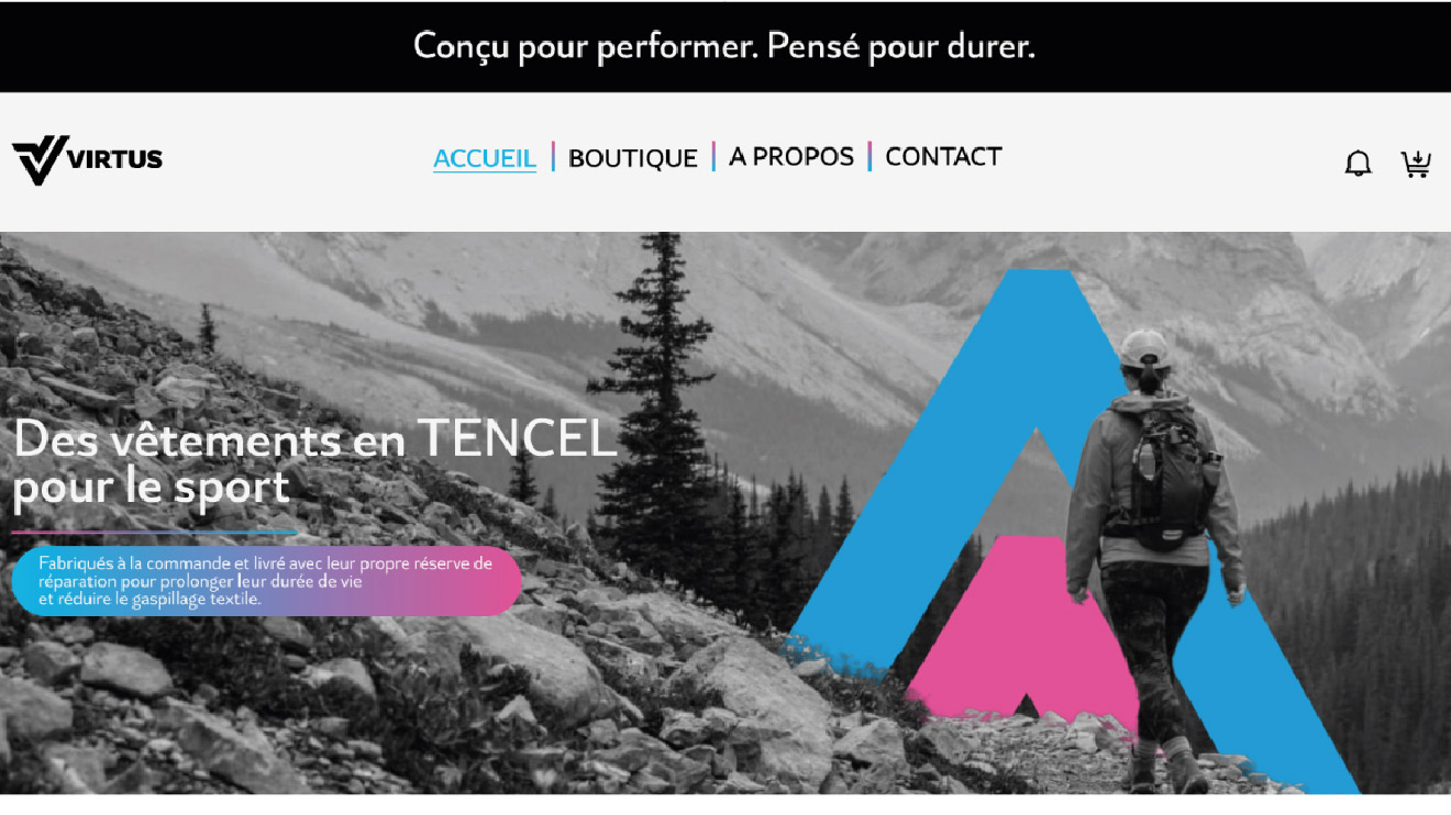 Site Virtus accueil